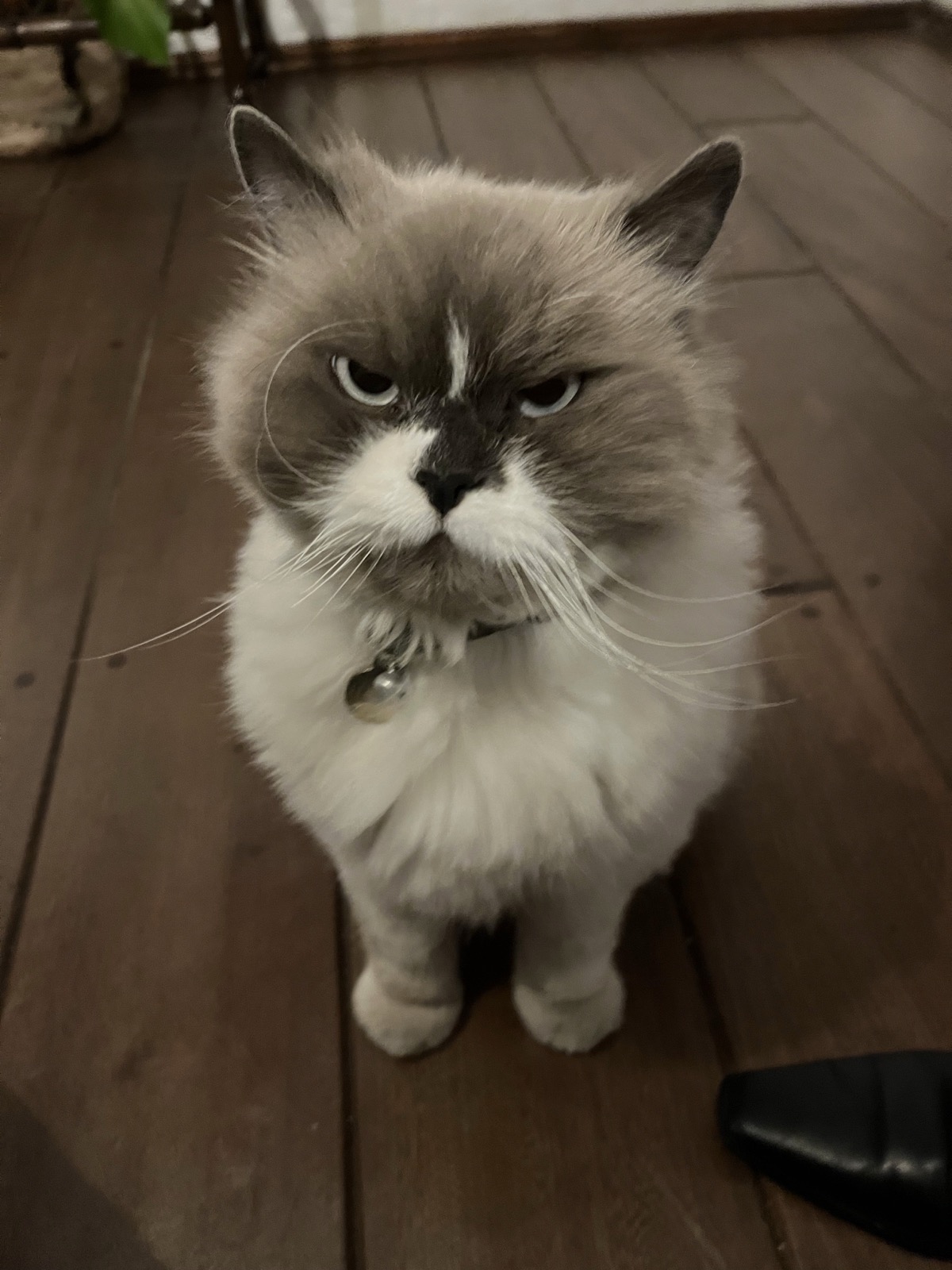 Understanding your cycle changes everything